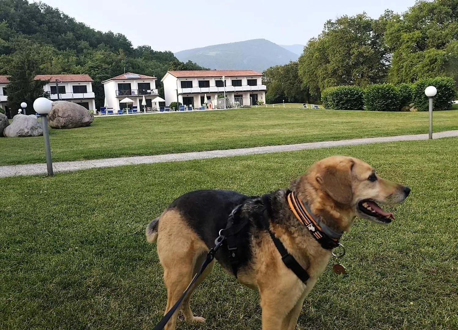 Aparthotel Bran & Denise Residence Marciaga